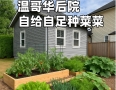 温哥华后院自給自足種菜