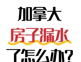 🇨🇦房子漏水了怎么办？别慌，5步自救+理赔流程全攻略