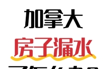 🇨🇦房子漏水了怎么办？别慌，5步自救+理赔流程全攻略