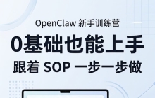 溫哥華上门安装Openclaw+陪跑服务