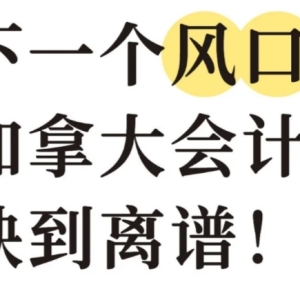 2025留学新风口：加拿大会计三大高薪方向曝光，年薪可达15万加币 ...