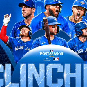 蓝鸟晋级季后赛